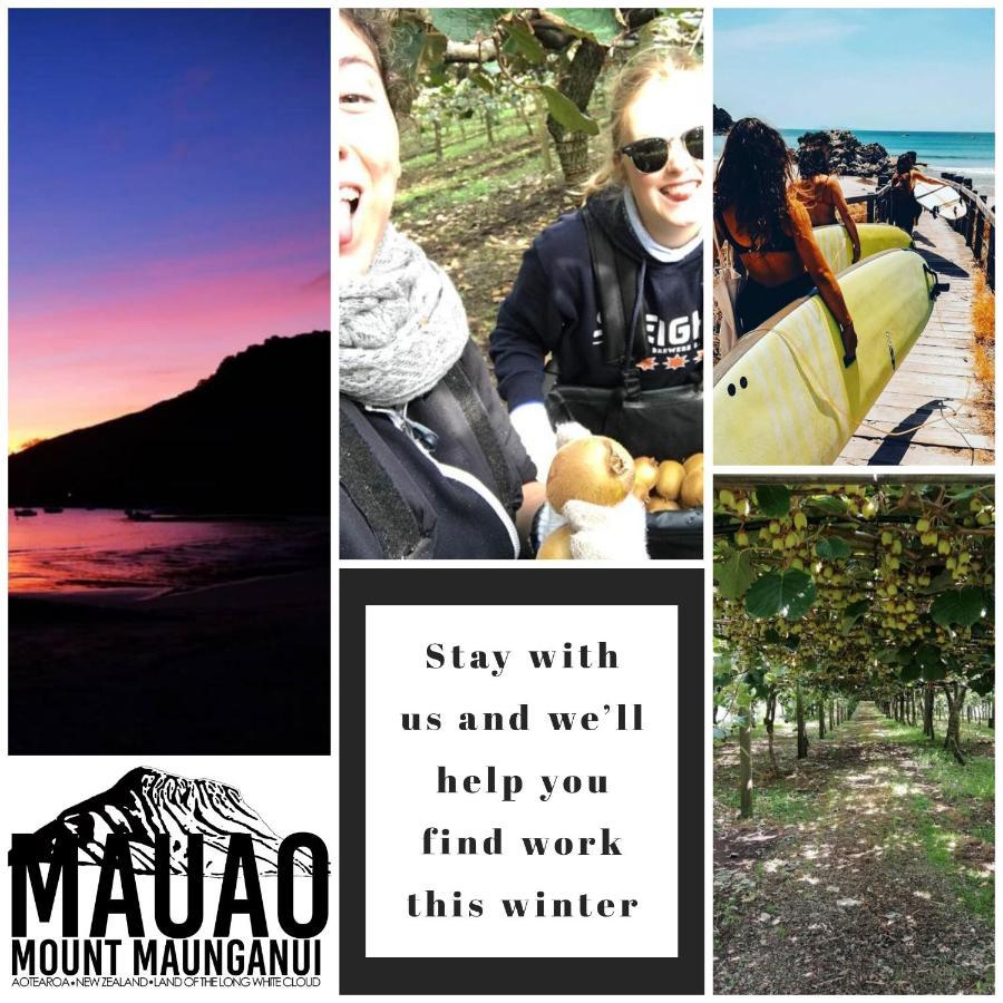 Mount Backpackers Hostel Mount Maunganui Ngoại thất bức ảnh
